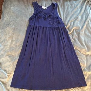 Blue Summer Loft Dress